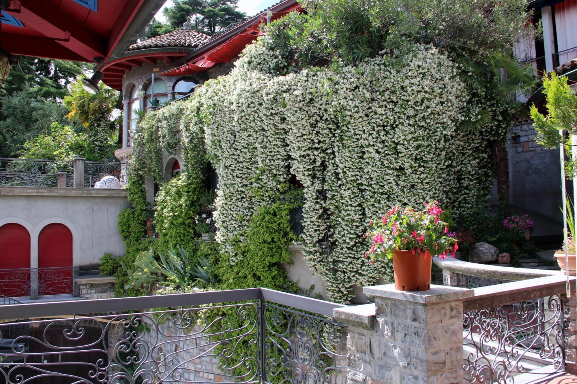 Barony Le Pergole Holiday Apartments Lugano Exterior foto
