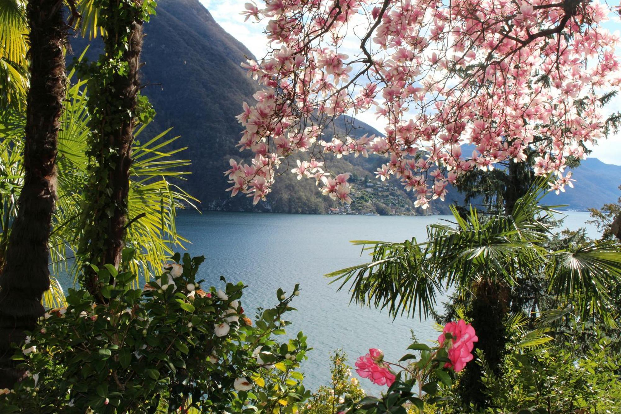 Barony Le Pergole Holiday Apartments Lugano Exterior foto
